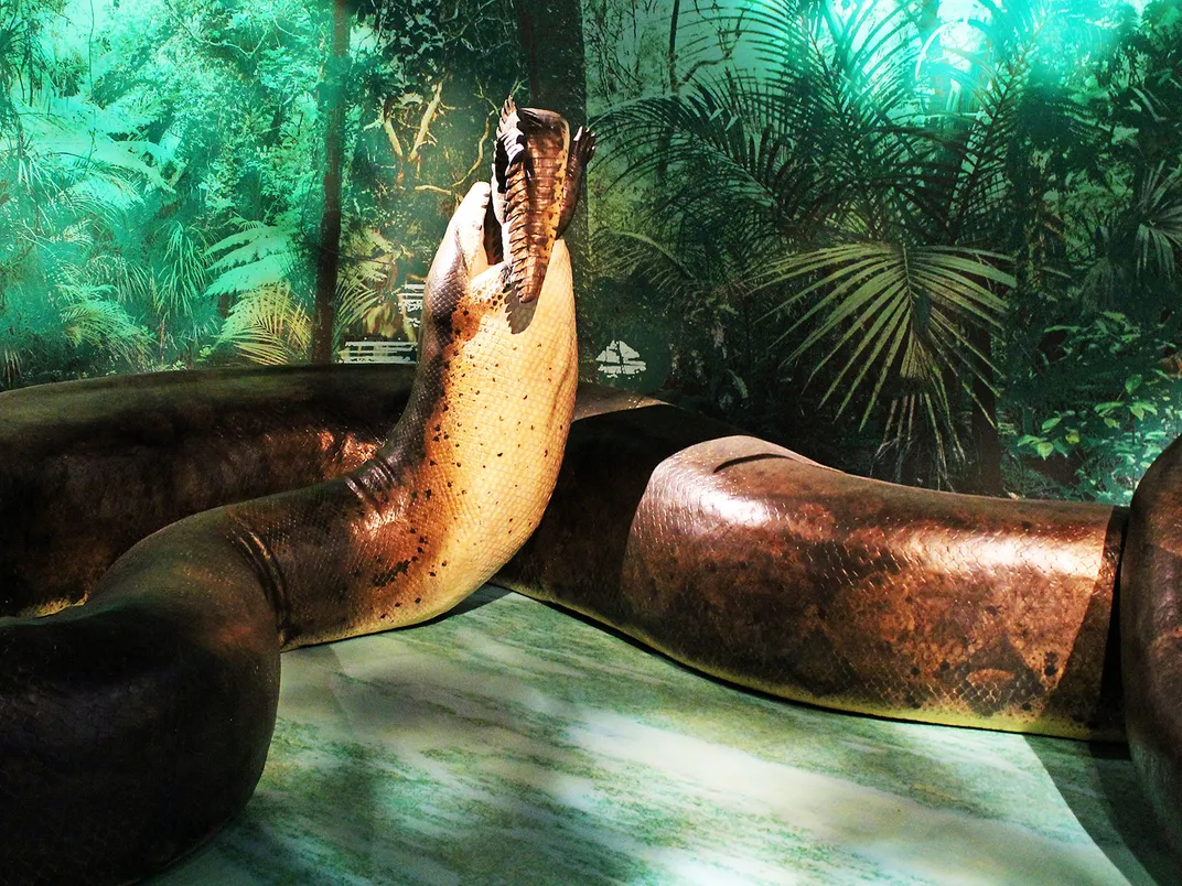 Titanoboa