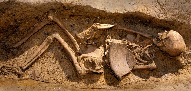 Boy skeleton in cellar pit