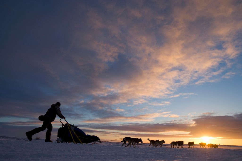 Iditarod 