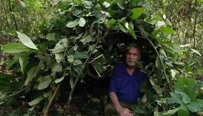 Meet the Entomologist and Wildlife Photographer Zooming in on the Weird and Wonderful World of Ants