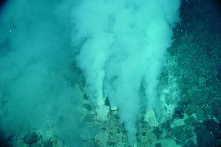 “White smokers” at a deep ocean hydrothermal vent.