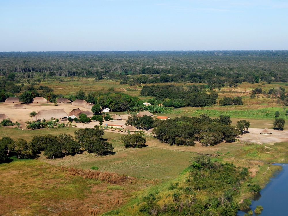 Protecting Land in Brazil Reduces Malaria and Other Diseases