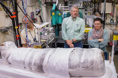 A new, noninvasive technique allows researchers to study mummies without damaging them.