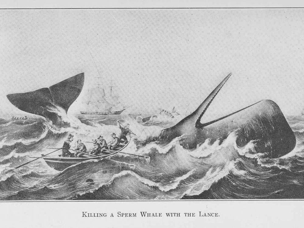 Moby Dick; Or, The Whale - Read Along