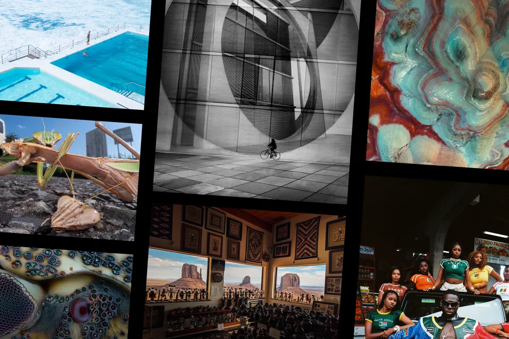Collage of photo contest winners
