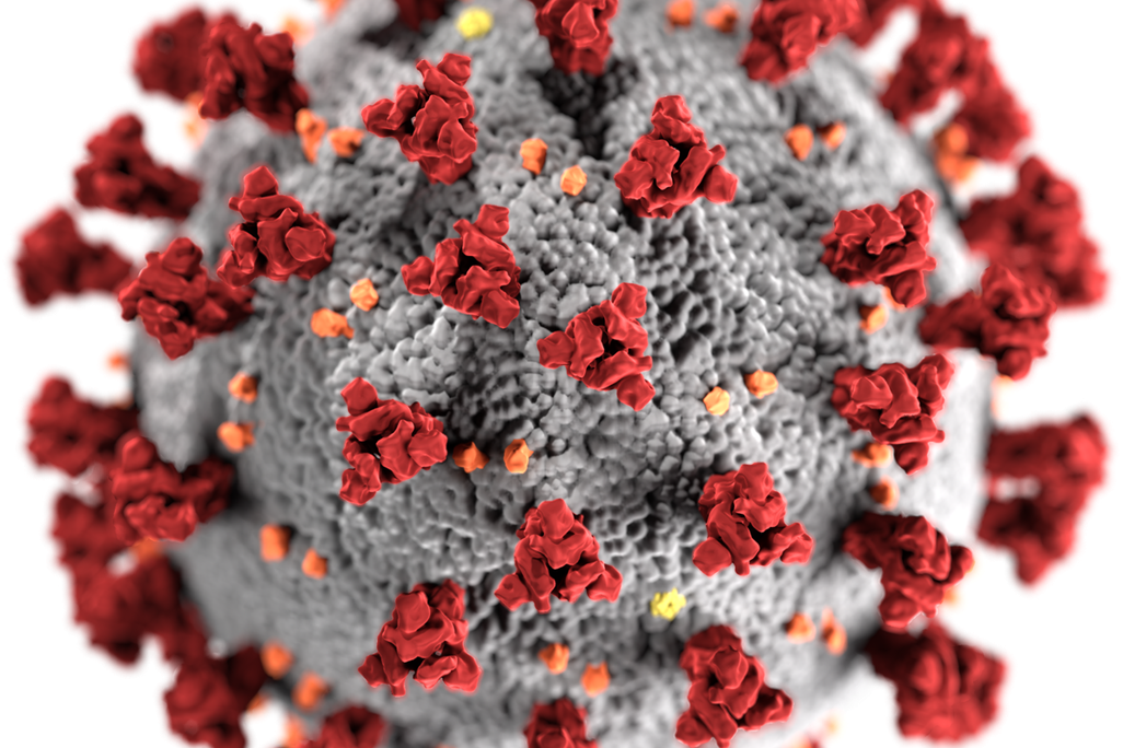 Image of SARS-COV-2 up close.png