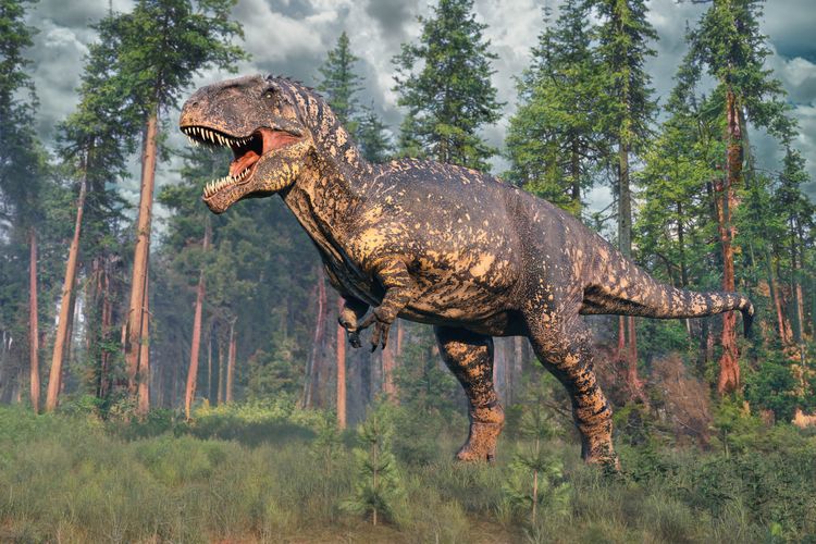 The Earth in the Mesozoic Era, when dinosaurs roamed the planet, looked much unlike how it does today&mdash;even beyond presence of creatures like Giganotosaurus.