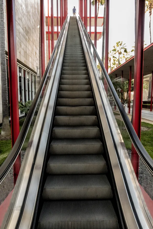 Escalator Alligator thumbnail