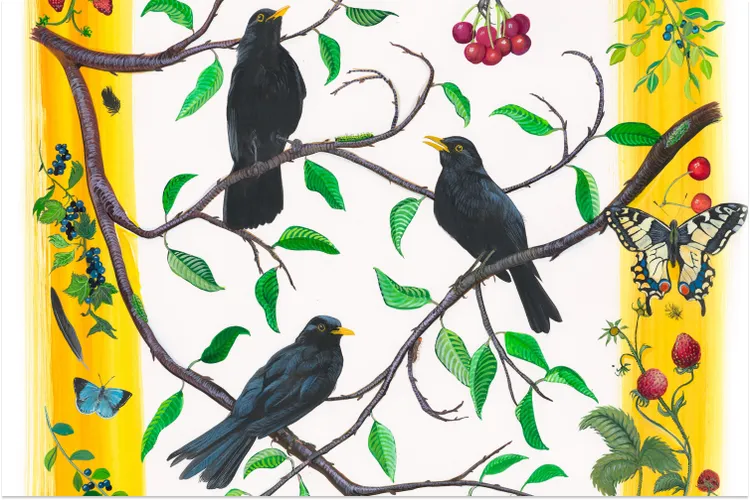 Partial view of&nbsp;Eurasian blackbird,&nbsp;Missy Dunaway, acrylic ink on paper