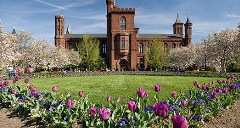 Shake off winter with a scavenger hunt in the Smithsonian Gardens.