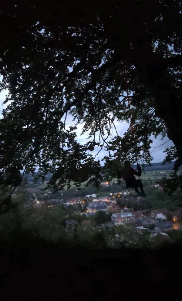 Swinging on a Mountain, Overlooking a Village in Germany thumbnail