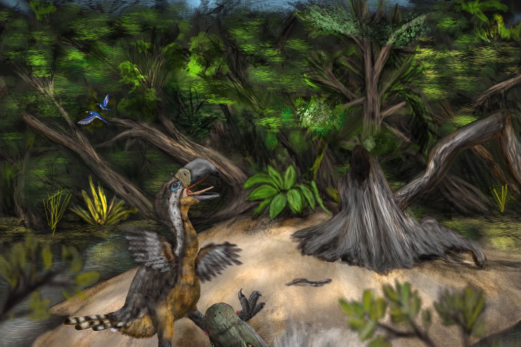 Illustration of crocodile attacking and biting large bird