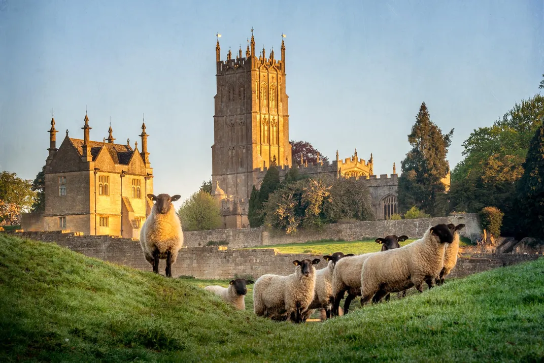 Sheep outside Chipping Camden with cathedral in the distance