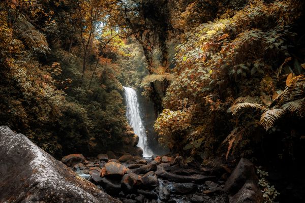 Hidden Waterfall in the Costa Rican Rainforest thumbnail