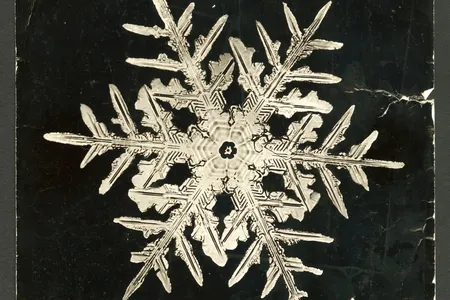 Bentley found "each snowflake is as different from its fellows as human beings are from each other."