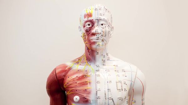 Preview thumbnail for Ask Smithsonian: Does Acupuncture Work?