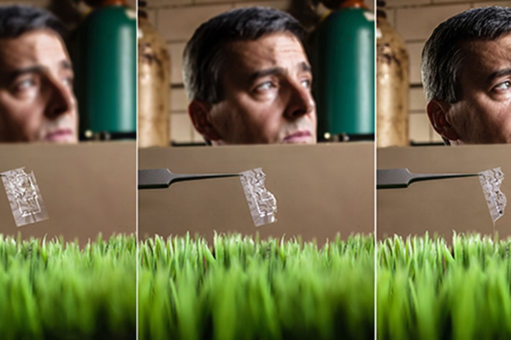 Rogers-ingenuity-tri-grass-631.jpg