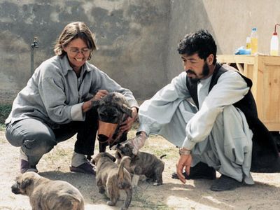 afghan_8.jpg