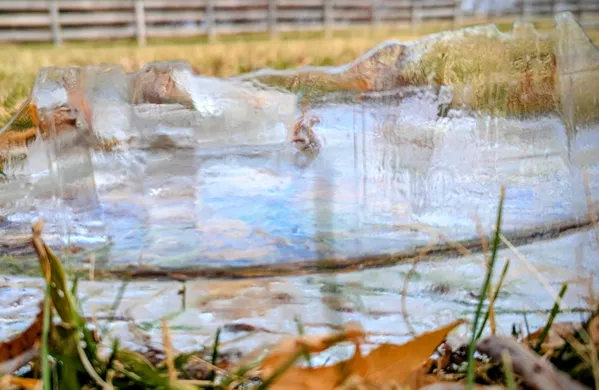 The canvas of nature thumbnail