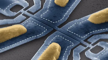 An electron scanning micrograph of the molecule-weighing device. When a molecule lands on the bridge-like portion at the center, it vibrates at a frequency that indicates its mass.