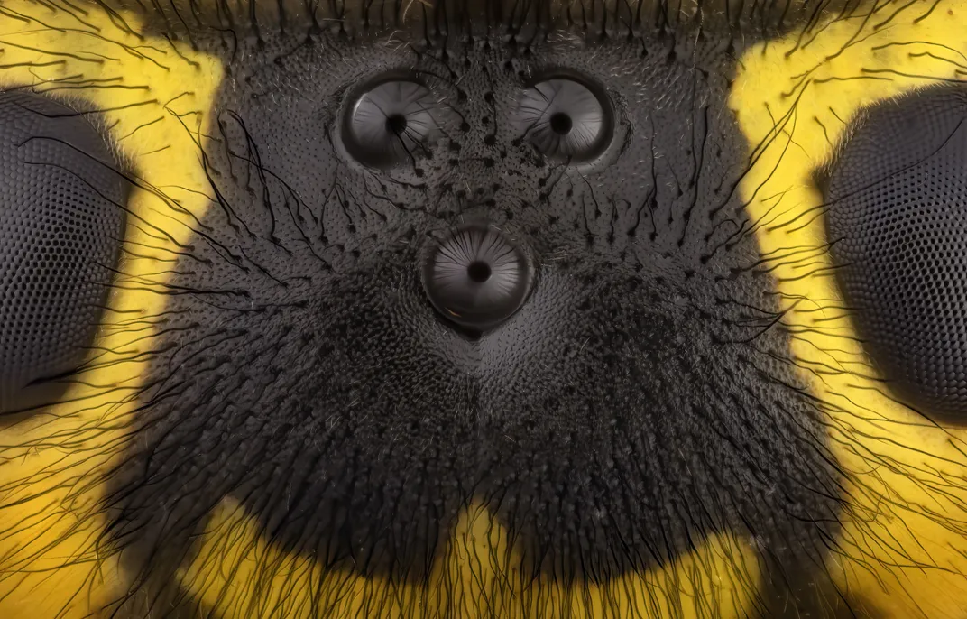 Black and yellow figure