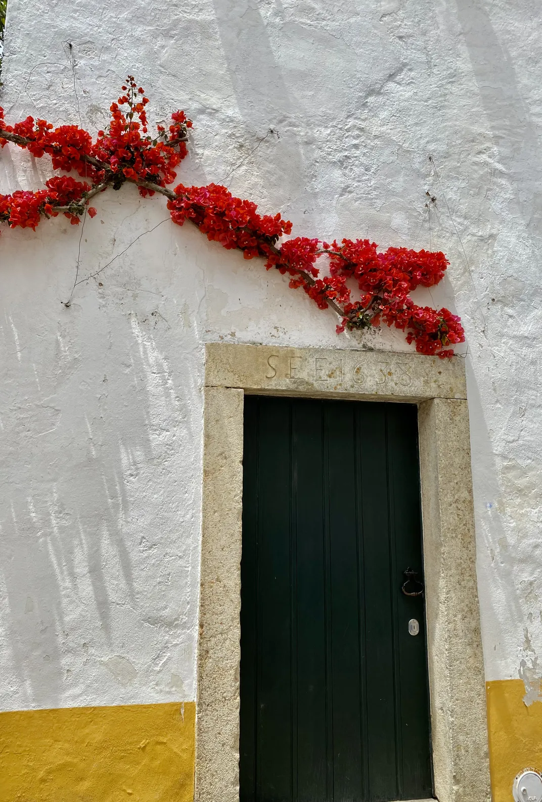 red flowers over a a door way