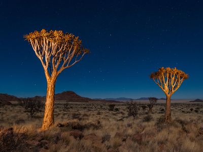 NamibRand Nature Reserve in Namibia. 