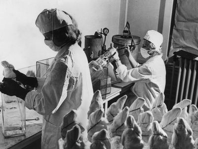 Technicians at Canada's main polio vaccine supplier at the time, Connaught Laboratories, working on a step of vaccine formulation in 1955.