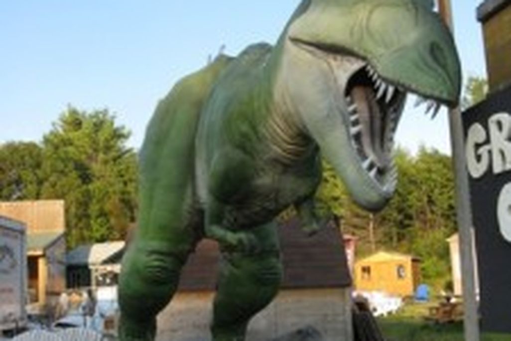 20110520083148dinosaur-wood-store-225x300.jpg