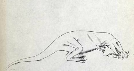 Gorgosaurus as envisioned by Lambe