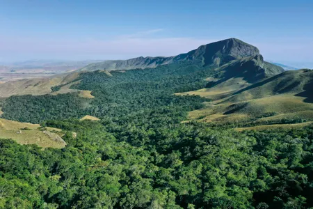 In the midst of fire- and drought-ravaged savanna in southeastern Madagascar, a curiously lush green forest is home to myriad unexpected life-forms, including a species of mouse lemur.