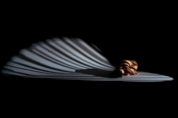 Body and Light I thumbnail