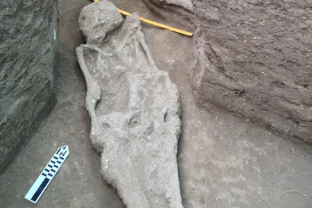 Human burials exposed and recovered during the archaeological excavations at the forest island of La Chacra during excavations.