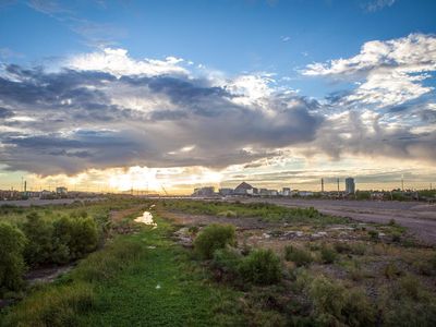 By the time the Salt River reaches downtown Phoenix, it is a river in name only. Some scientists think that is why a non-native plant, the salt cedar, is thriving while native flora are suffering.