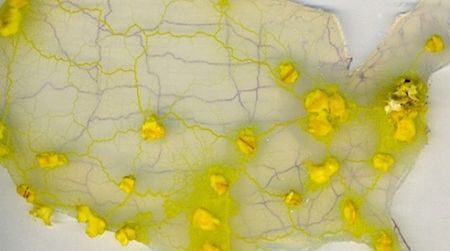 A slime mold is used to design an efficient U.S. interstate system.
