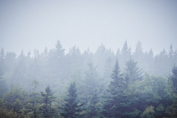 Foggy Layers thumbnail