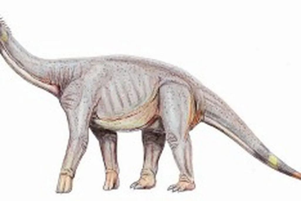 20110520083222Astrodon-Dino-300x156.jpg