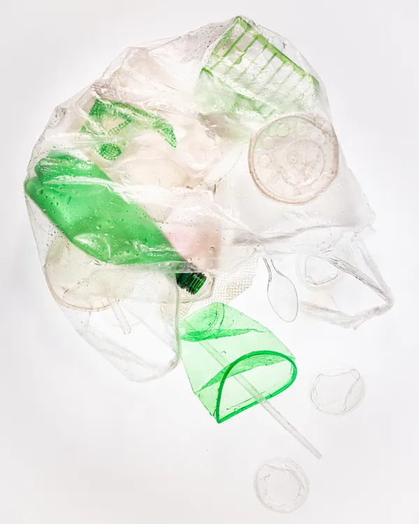 Clear Plastic Bag with Green and Clear Plastic-Canon R5 thumbnail