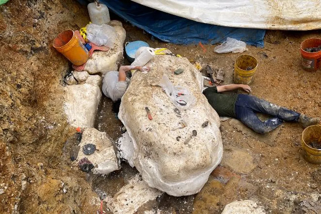 An image of a large dinosaur bone laying in a pit of dirt. Paleontolgists are laying near it clearing away soft wet clay.