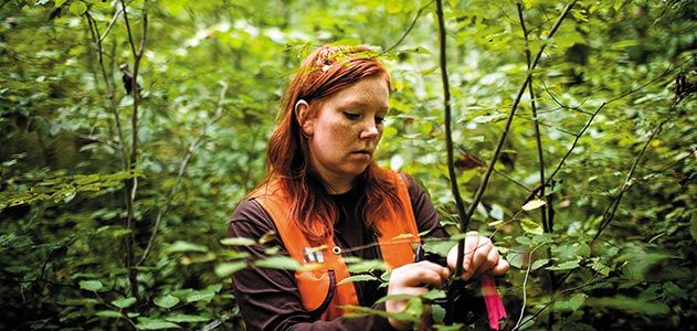 Smithsonian Environmental Research Center