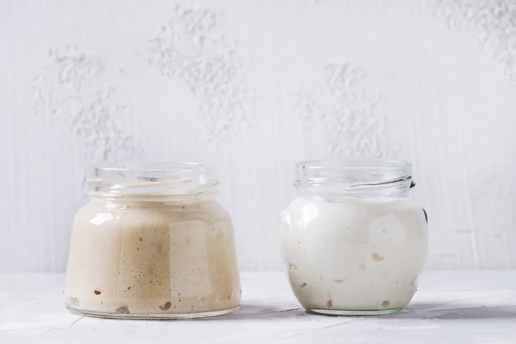 Rye and wheat sourdough starters