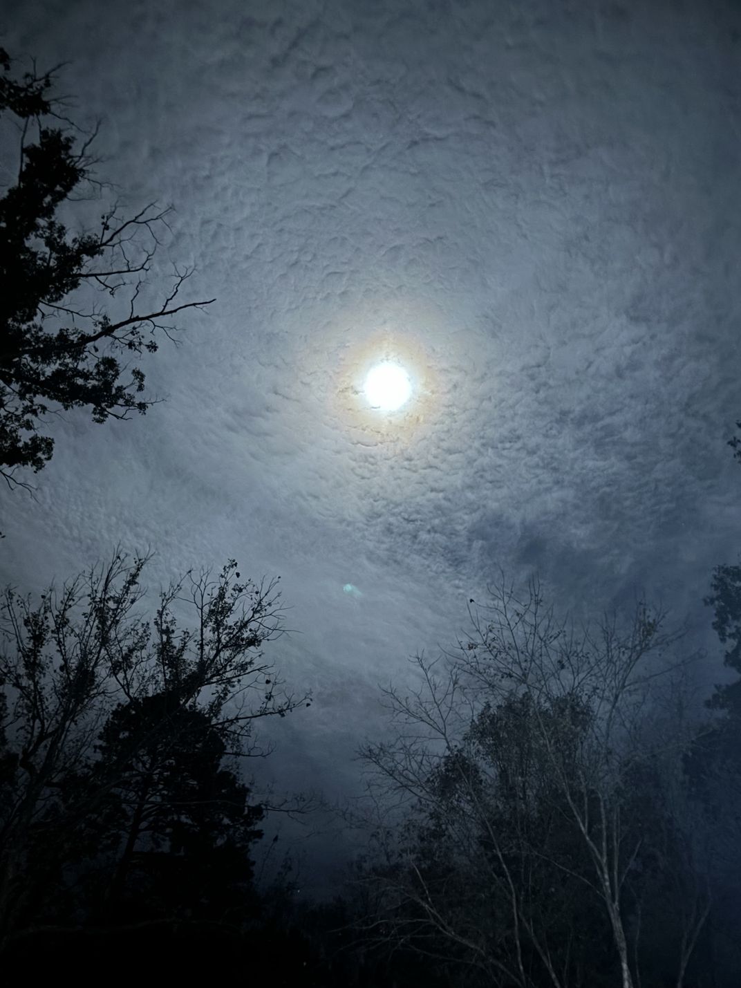 Moonglow | Smithsonian Photo Contest | Smithsonian Magazine