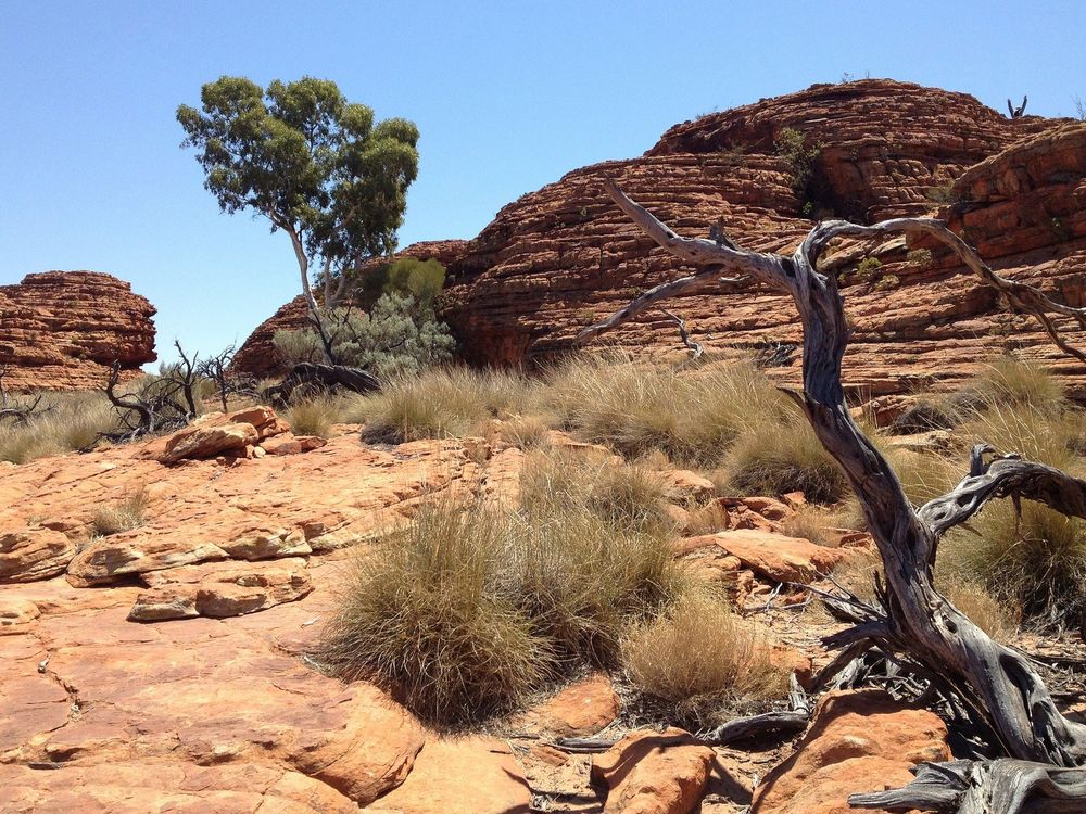 Western Desert Scene