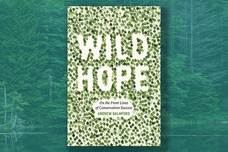 wild hope.png
