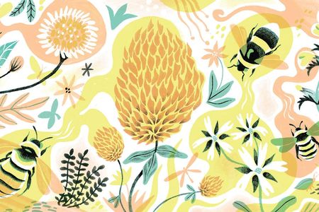 The natural habitats of many bumblebees are nearly gone and restoring floral diversity is vital to promote their survival.