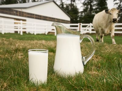 Milk is udderly fascinating.