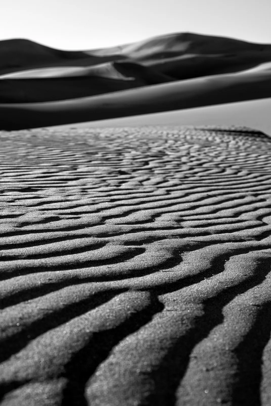 Curvaceous mounds mark the terrain at Great Sand Dunes National Park