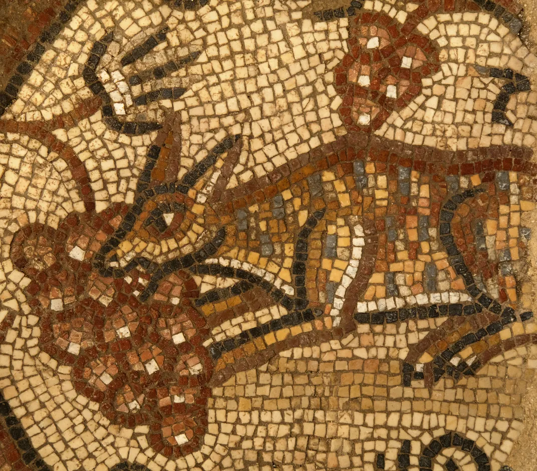 Fox eating grapes mosaic in Huqoq synagogue mosaic