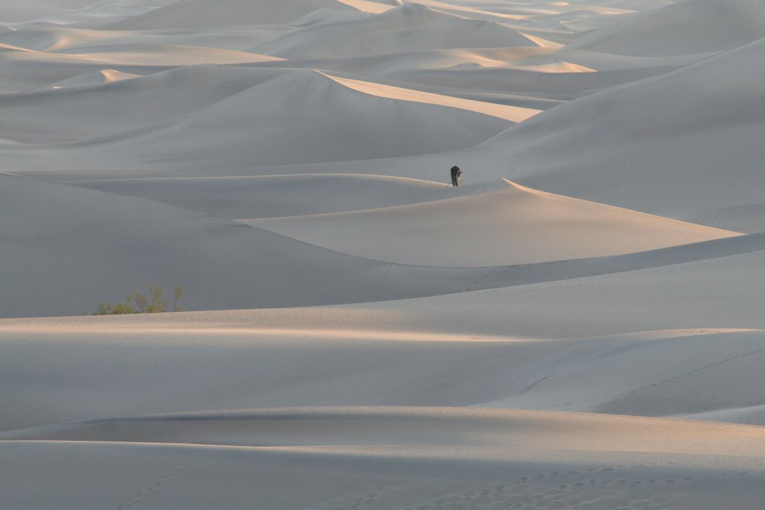 Dune Photographer | Smithsonian Photo Contest | Smithsonian Magazine