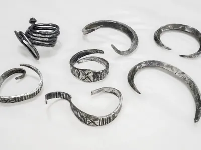 Archaeology Student Discovers Trove of Silver Viking Age Armbands in Denmark image